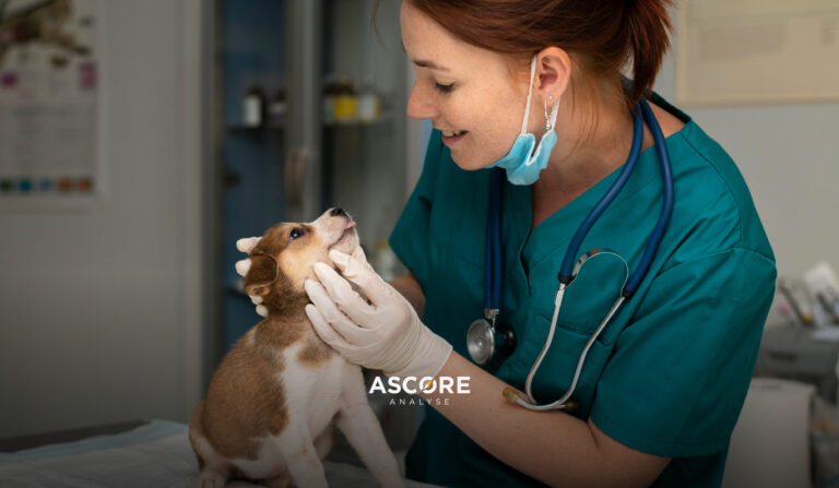 ASCORE_WusstenSieschon_Tierkranken_MARK-735_V1_Blogbeitrag